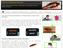 Tablet Screenshot of cafard-blatte.com